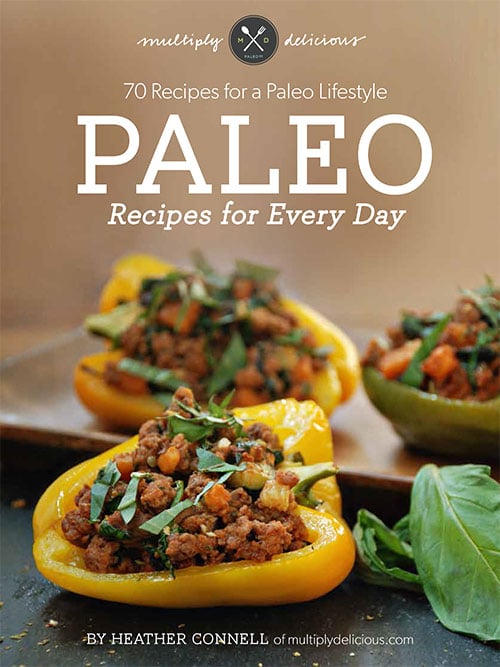 Paleo-Recipes-Every-Day-Cov