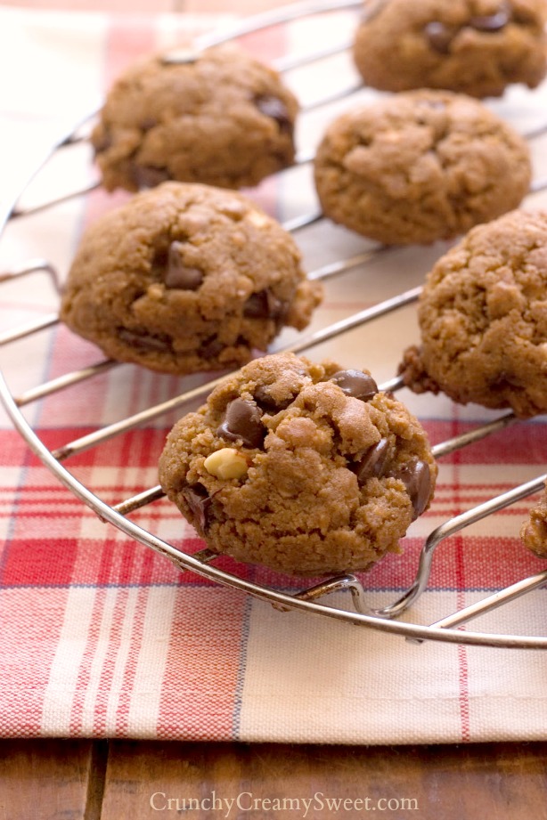 Peanut-Butter-Chocolate-Granola-Cookies1