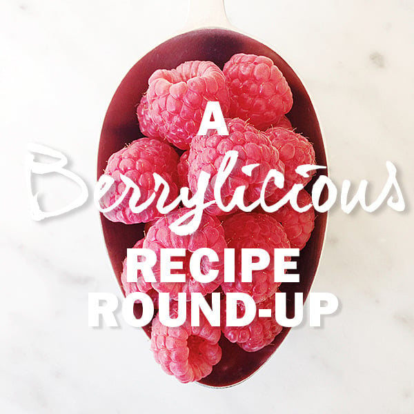 Berry Recipe Round-Up on foodiecrush.com