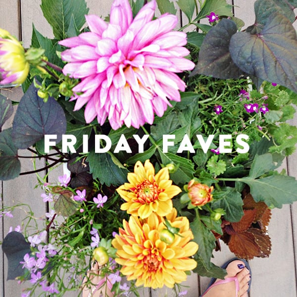 Friday-Faves