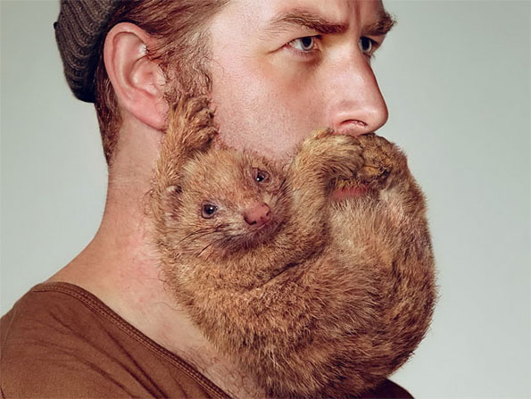 animal-beard-shaving-ad-1