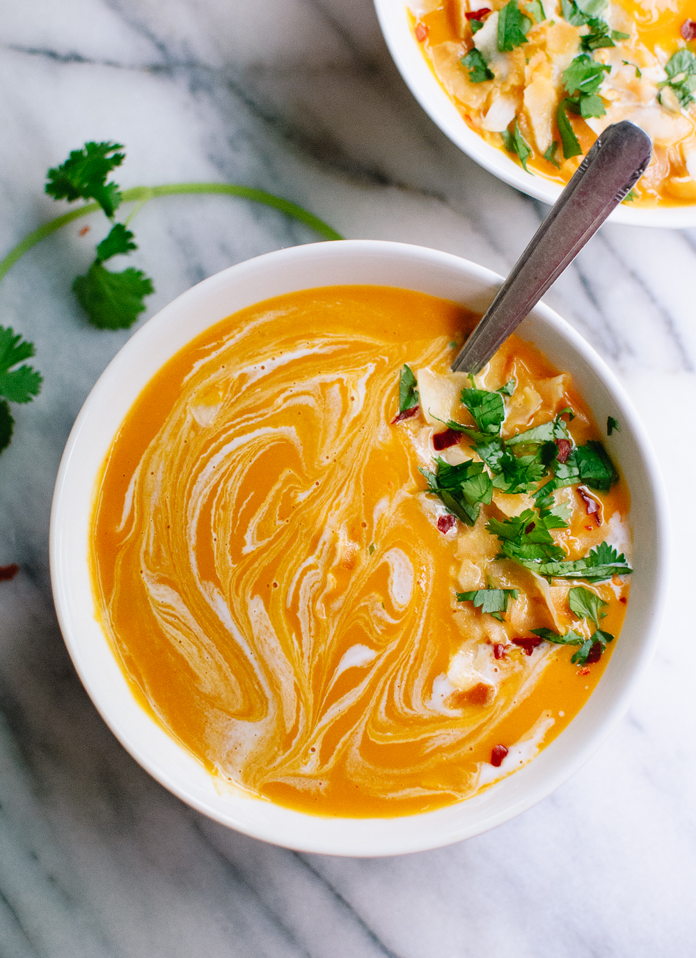 thai-curried-butternut-squash-soup-1