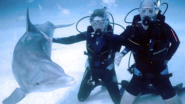 Scuba-with-Dolphins