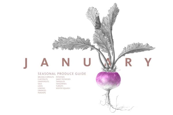 Eat Seasonal Produce Guide from The Vintage Mixer on foodiecrush.com