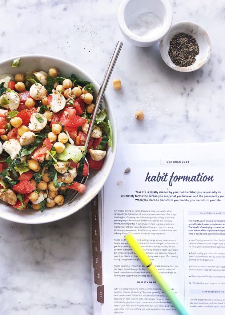 Habit Formation Nourished Planner | foodiecrush.com