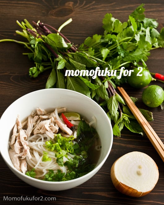 Vietnamese Chicken Soup Pho Ga