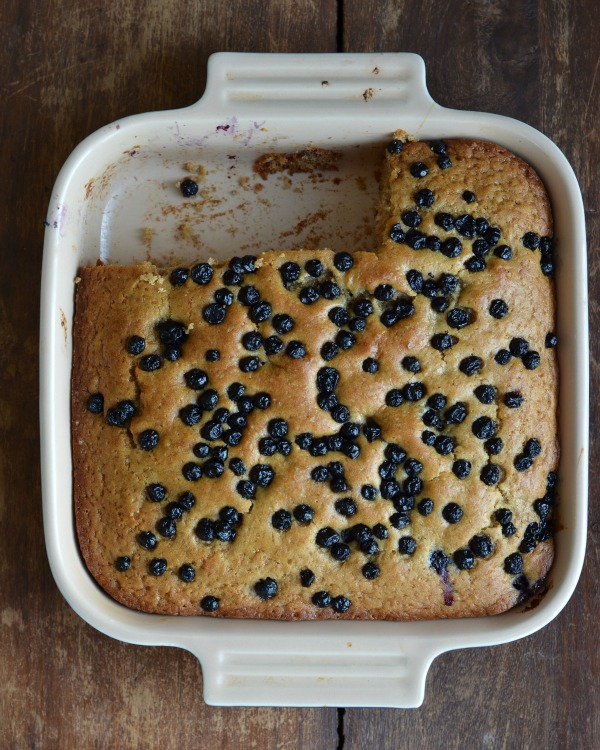 Snack-Cake-with-Applesauce-Blueberries-www.mountainmamacooks.com_