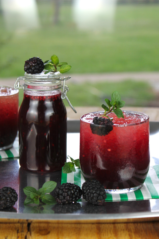 Blackberry-Mint-Julep-Cocktail-from-Miss-in-the-Kitchen