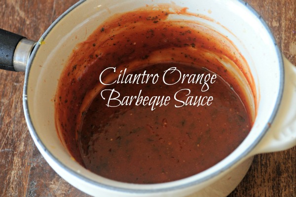 Cilantro Orange Barbeque Sauce from Mountain Mama Cooks on foodiecrush.com