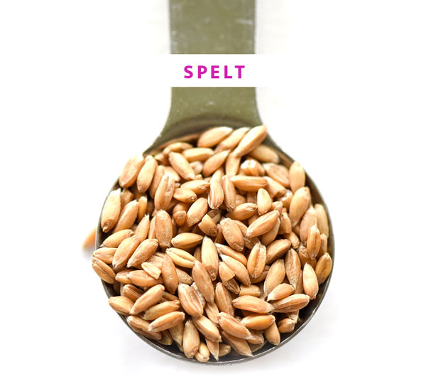 You Should Be Cooking with Spelt on foodiecrush.com