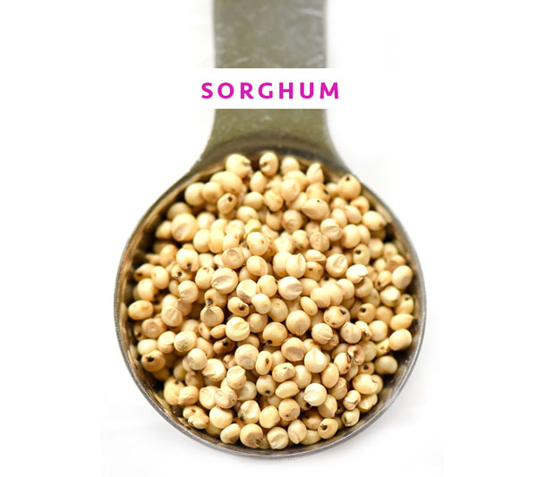 You Should Be Cooking with Sorghum on foodiecrush.com