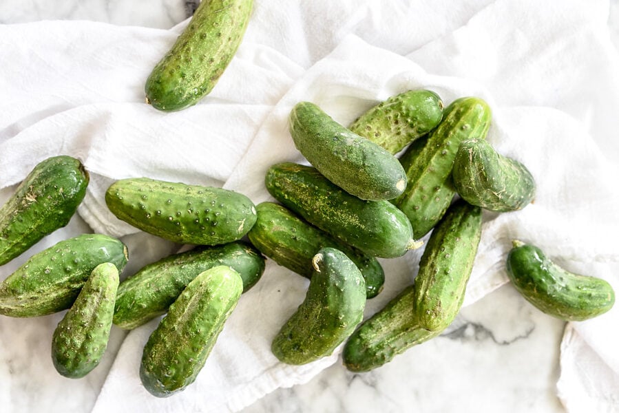 pickling cucumbers meant for homemade pickles