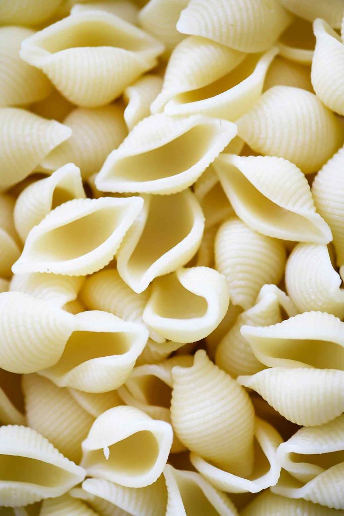 Macaroni shells | foodiecrush.com
